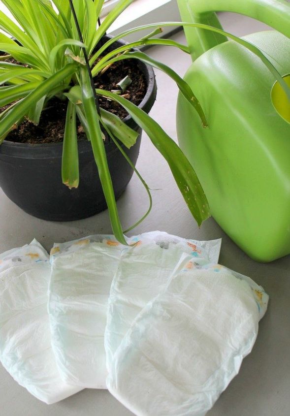 how to have lush healthy houseplants with less watering, gardening, home decor