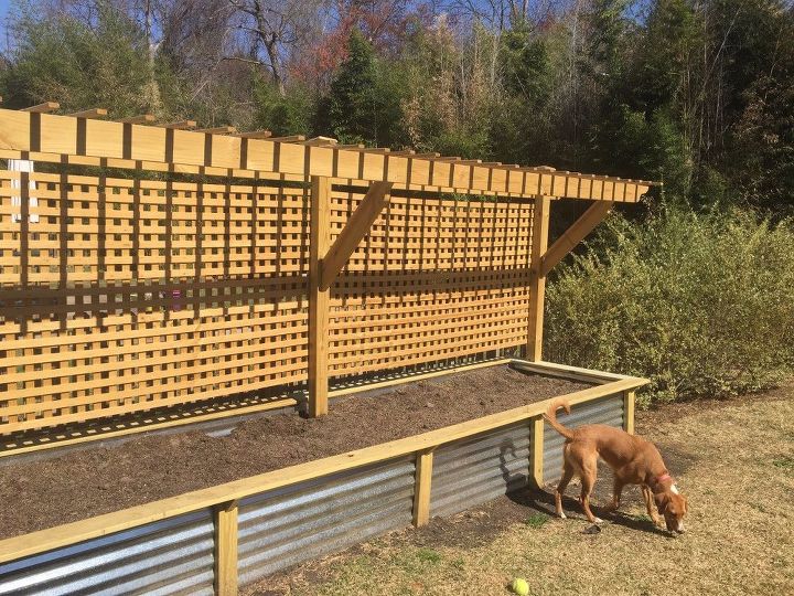 raised bed and trellis, gardening, raised garden beds