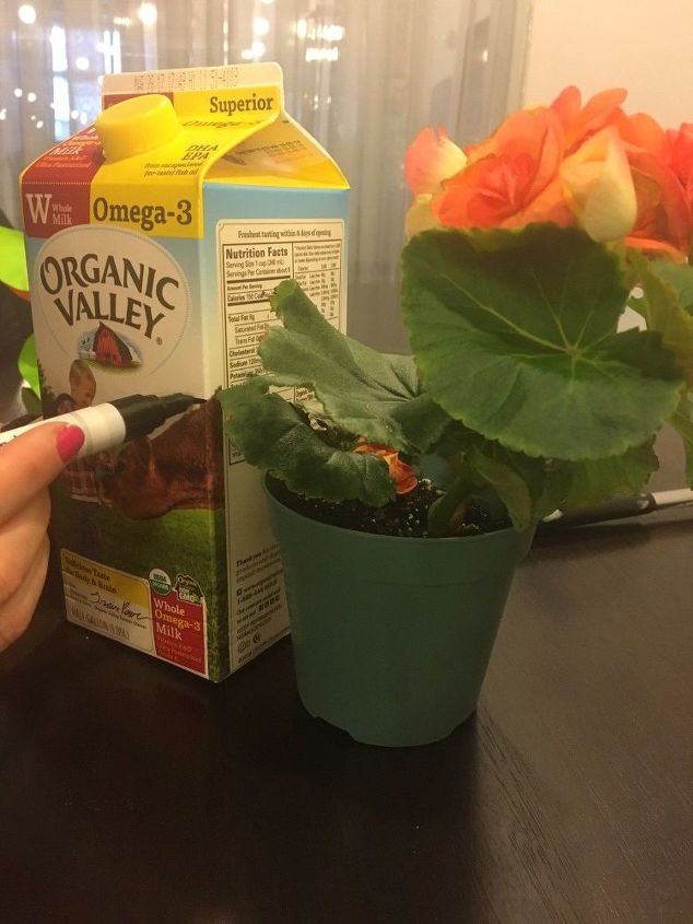 milk carton turned into a planter, gardening
